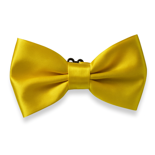 PAPILLON RASO SLIM SOTTILE CRAVATTINO FARFALLINO FARFALLA UOMO DONNA ORO