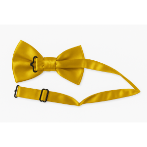 PAPILLON RASO SLIM SOTTILE CRAVATTINO FARFALLINO FARFALLA UOMO DONNA ORO
