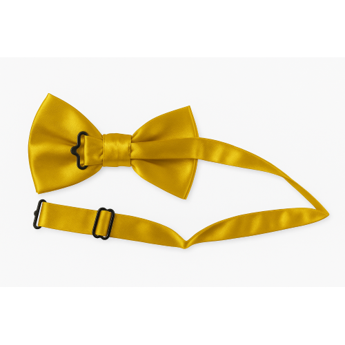 PAPILLON RASO SLIM SOTTILE CRAVATTINO FARFALLINO FARFALLA UOMO DONNA ORO