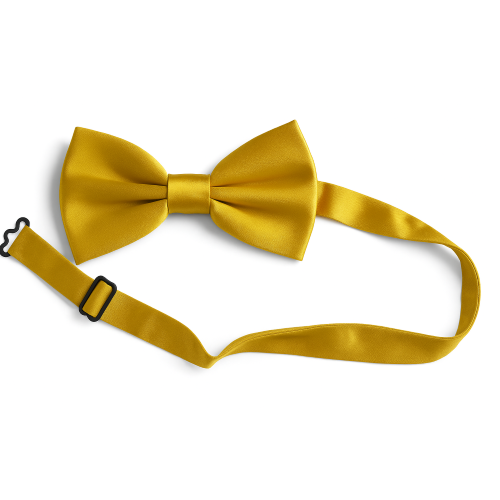 PAPILLON RASO SLIM SOTTILE CRAVATTINO FARFALLINO FARFALLA UOMO DONNA ORO