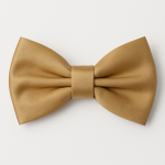 PAPILLON RASO SLIM SOTTILE CRAVATTINO FARFALLINO FARFALLA UOMO DONNA CHAMPAGNE