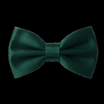 PAPILLON RASO SLIM SOTTILE CRAVATTINO FARFALLINO FARFALLA UOMO DONNA VERDE SCURO