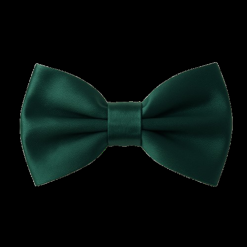 PAPILLON RASO SLIM SOTTILE CRAVATTINO FARFALLINO FARFALLA UOMO DONNA VERDE SCURO