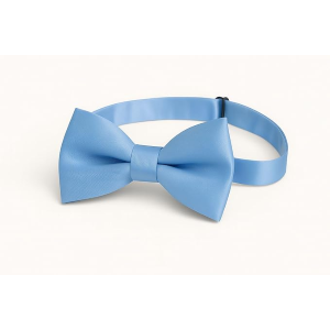 PAPILLON RASO SLIM SOTTILE CRAVATTINO FARFALLINO FARFALLA UOMO DONNA AZZURRO CHIARO