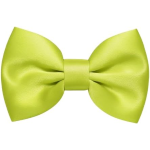 PAPILLON RASO SLIM SOTTILE CRAVATTINO FARFALLINO FARFALLA UOMO DONNA VERDE LIME