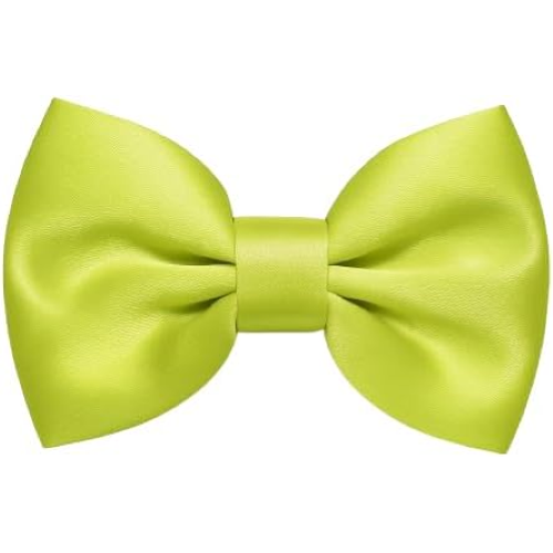 PAPILLON RASO SLIM SOTTILE CRAVATTINO FARFALLINO FARFALLA UOMO DONNA VERDE LIME